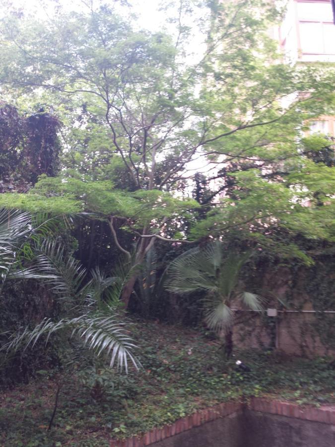 Le Palme Appartement